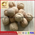 Hot Sale Walnut Kernels From China